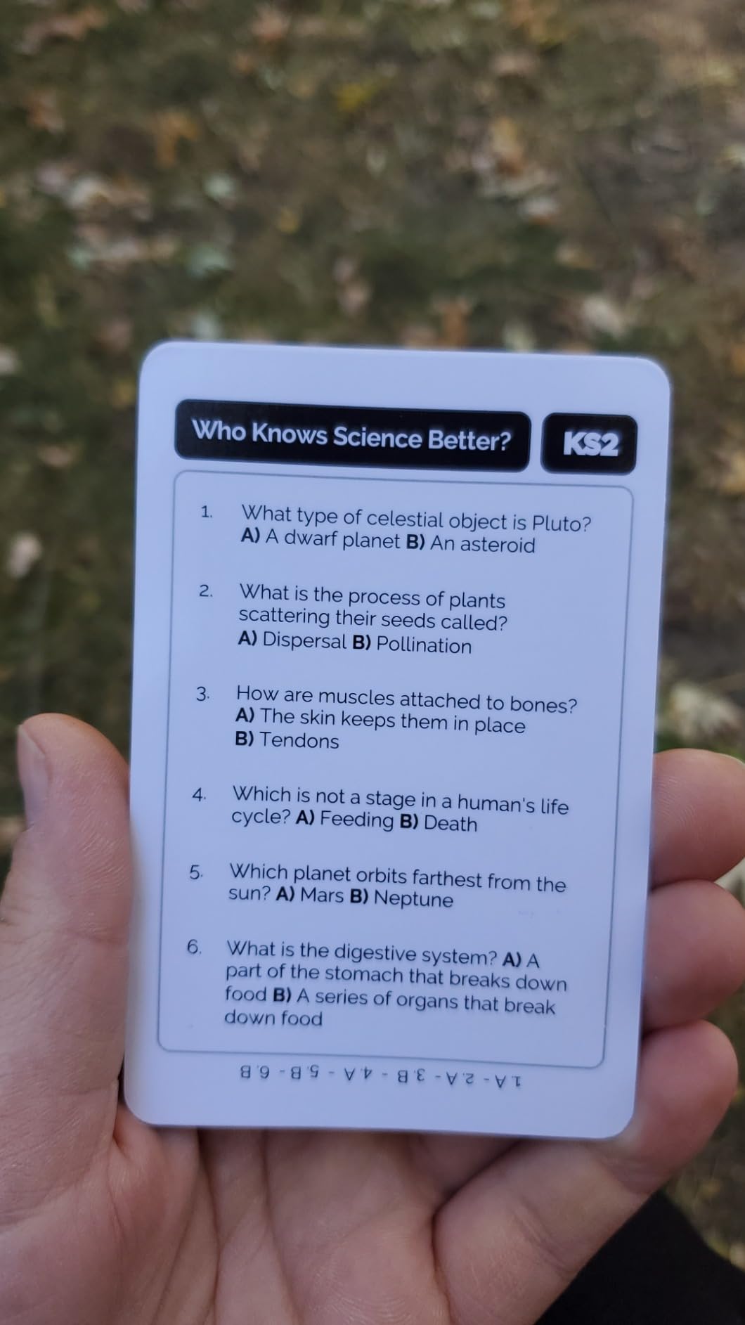 Quokka Card Games for Kids 8-12 - Board Family Games for Kids and Adults | History Trivia Cards for Family Game Night - Who Knows History Better 500+ Questions - Fun Card Game for Families and Teens customer photo 2