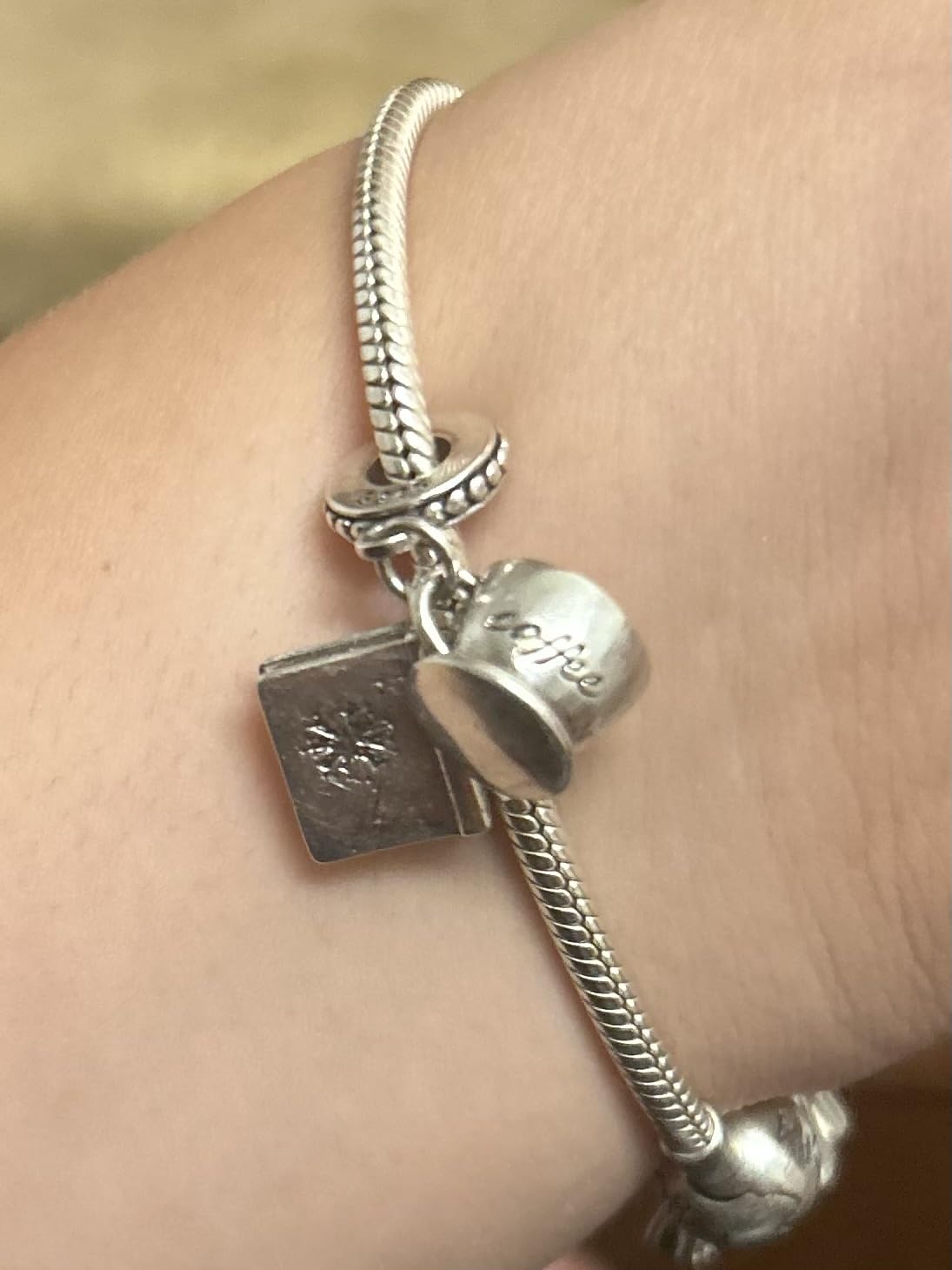 925 Sterling Silver Charms Beads for Bracelets Necklaces, Airplane Passport Sister Heart Coffee Music Book Travel Pendant, Pink Color Cute Animal Jewelry Graduation Birth Gifts for Women Men customer photo 1