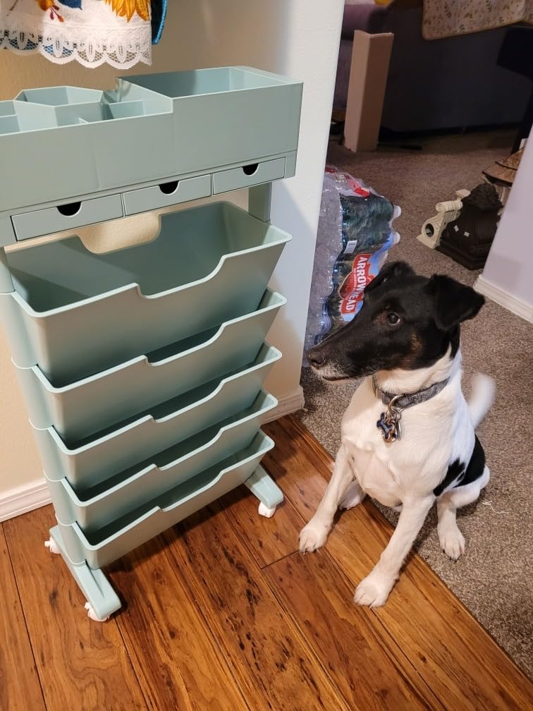 Rolling Bookshelf Cart with Wheels, 6 Tier Movable Bookshelf for Storage, Portable Bookshelf on Wheels for Kitchen Bathroom Office, Slim Book Cart, Off White customer photo 1