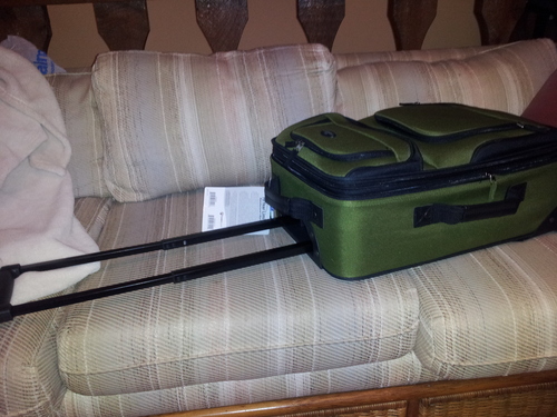U.S. Traveler Rio Lightweight Softside Rolling Carry-on Suitcase, 2-Wheel Single, Green customer photo 1