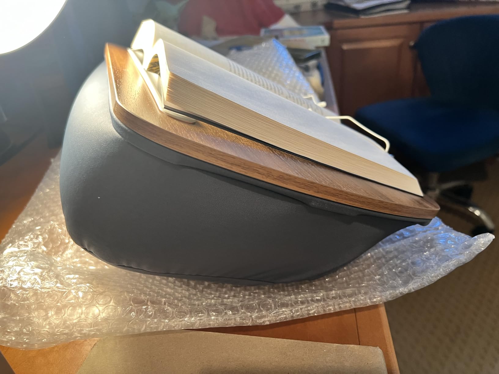 ERGONOV Lap Beanbag Book Stand for Hands Free Reading Comfortable Reading Pillow Stand Minimize Neck Strain Perfect Idea for Book Lovers customer photo 1