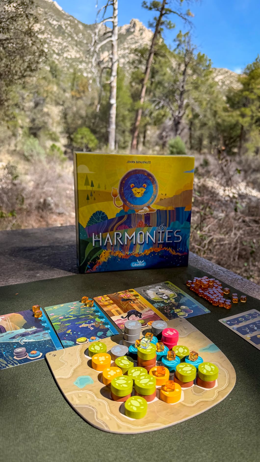 Asmodee Harmonies Board Game - Create Oneiric Landscapes, Strategic & Poetic Gameplay, Fun Family Game for Kids & Adults, Ages 10+, 1-4 Players customer photo 1