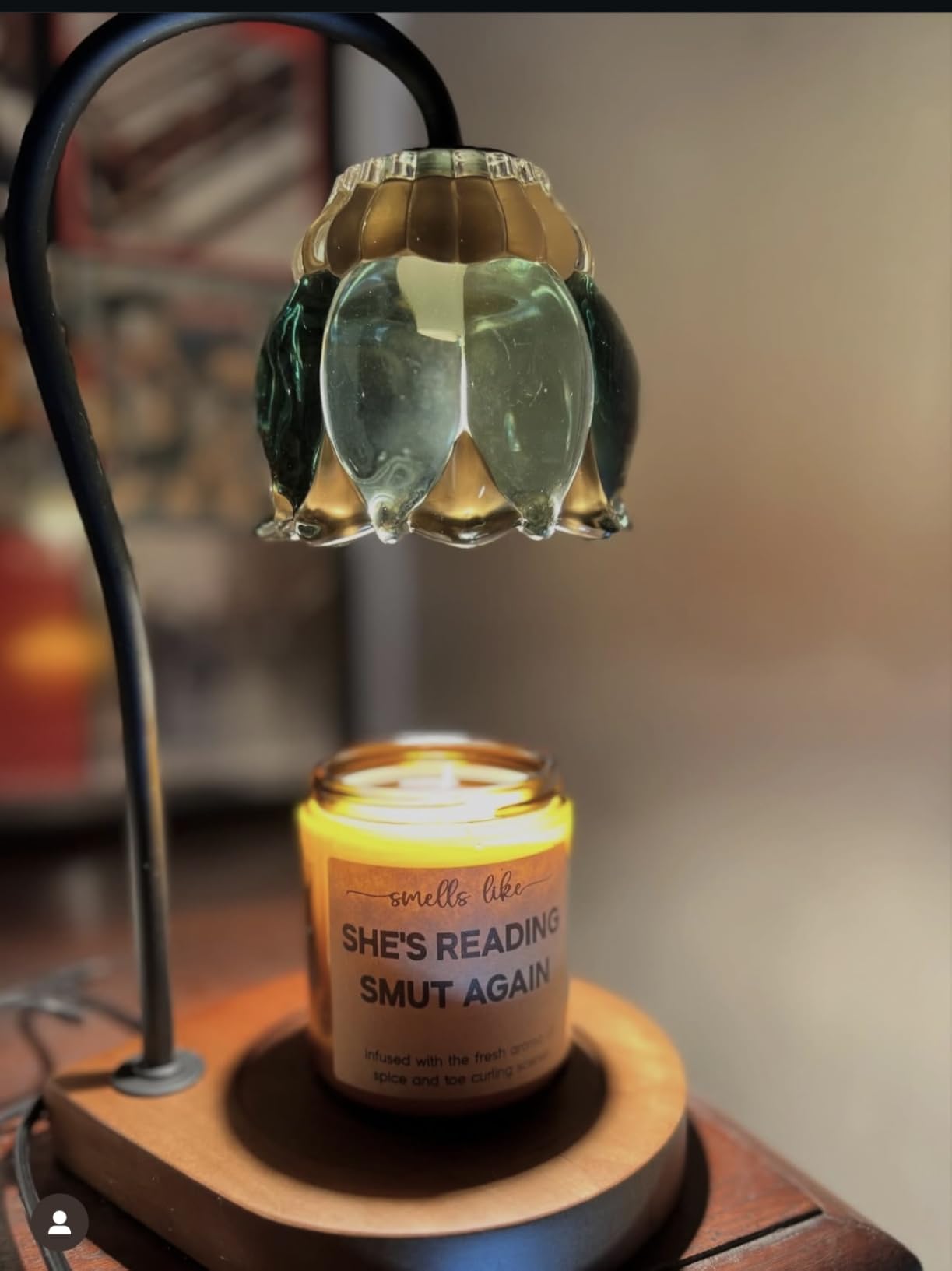 LEADO Reading Candle, Book Lovers Gifts - Bookish Candle, Dark Romance, Bookish Decor - Funny Reading Decor, Books Themed Present - Birthday, Mothers Day Gifts for Book Lovers Women, Readers, Bookworm customer photo 1