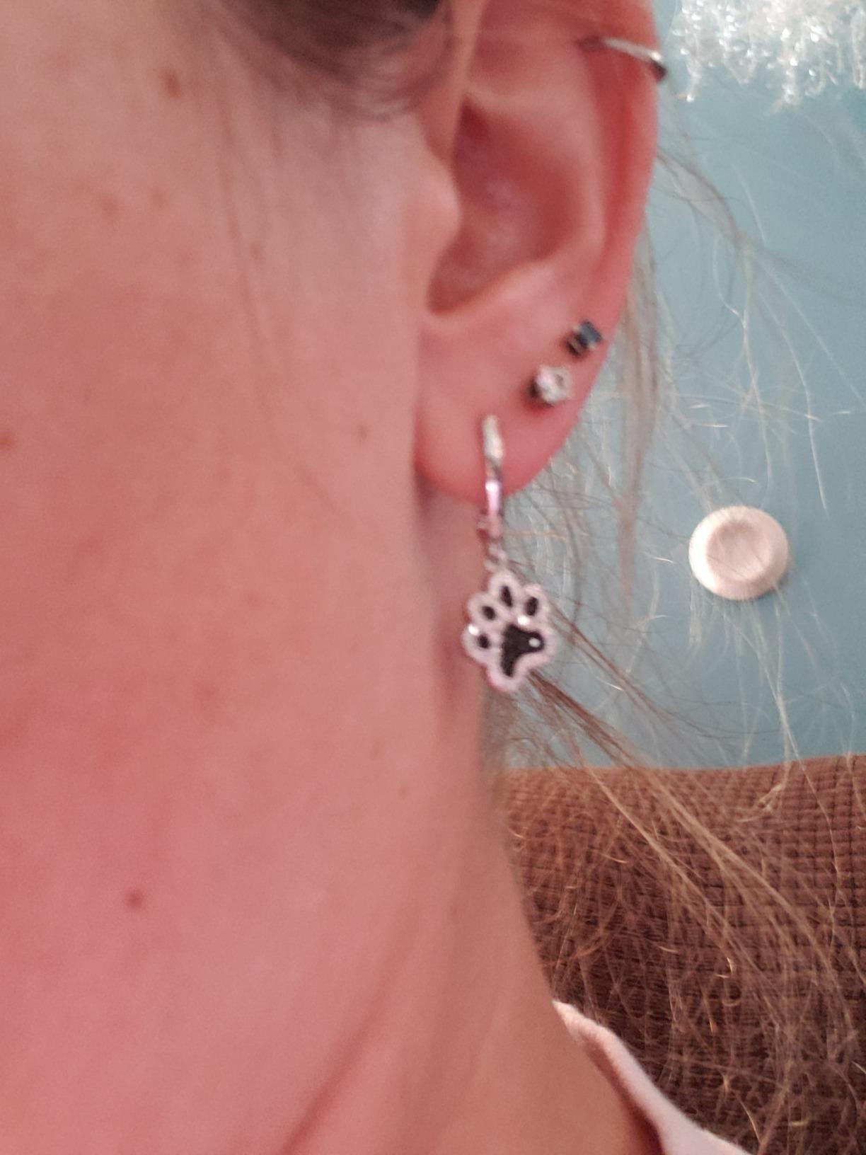 YFN 925 Sterling Silver Book/Animal/Flower Drop Dangle Earrings Earring Hypoallergenic Jewelry for Christmas Graduation Mother's Day Birthday customer photo 1