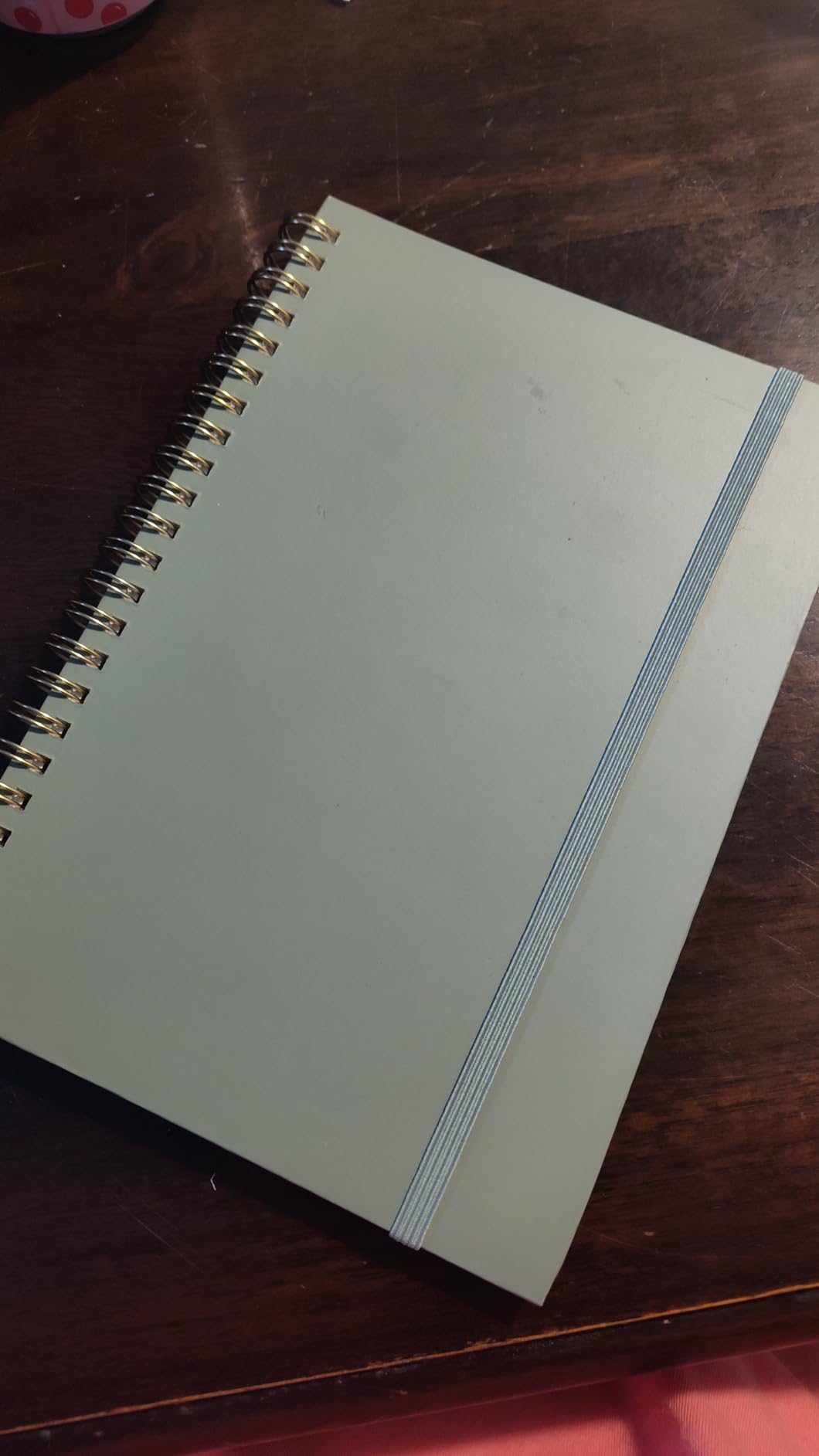 Forvencer 2 Pack Blank Spiral Notebook, 8