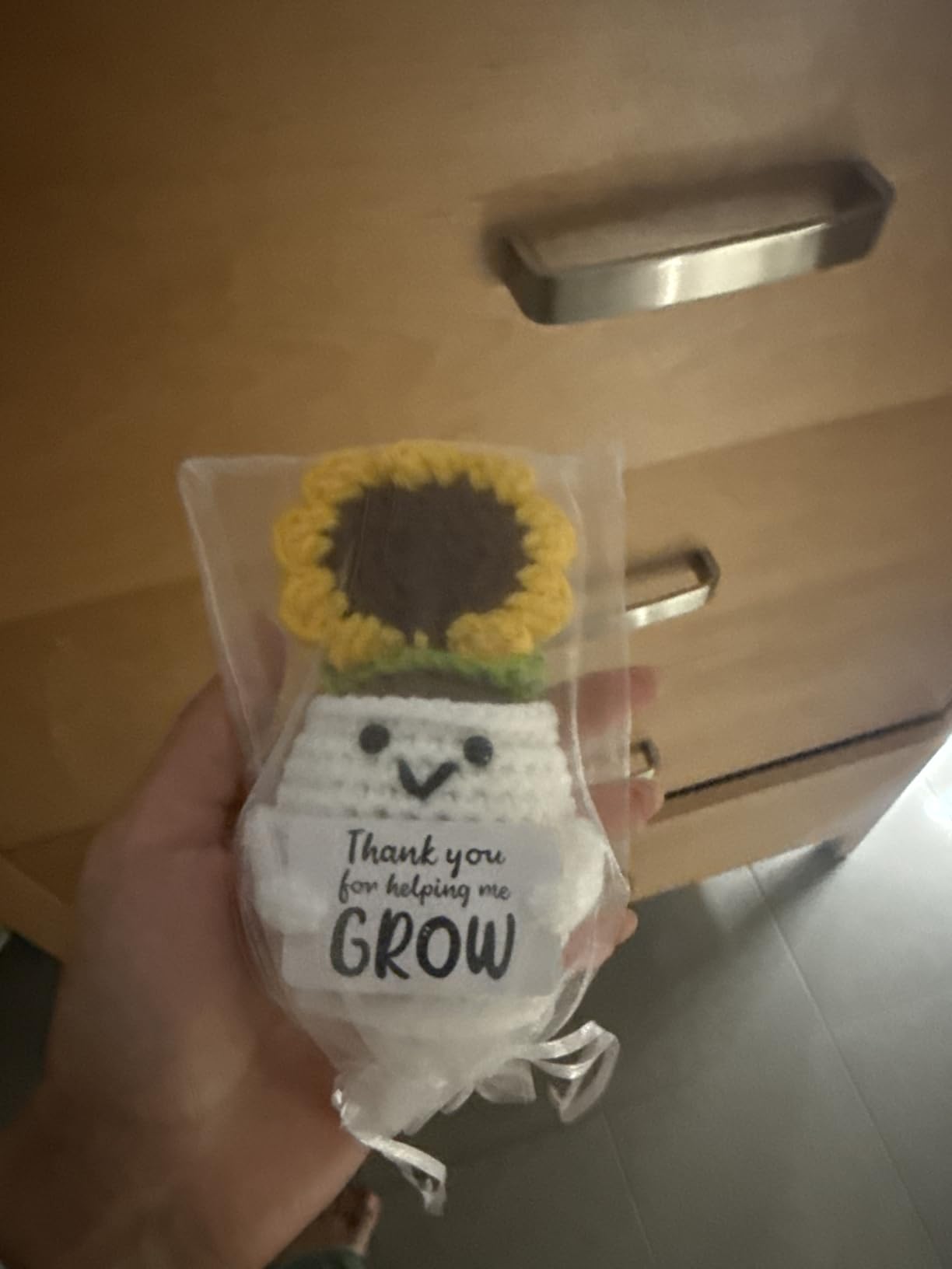 MBL Teacher Retirement Gift for Woman - Back to School Gifts for Teachers | Crochet Flower Sunflower First Day of School Gift for Teacher, Appreciation Thank You Farewell Leaving Gift for Coworker Boss customer photo 1