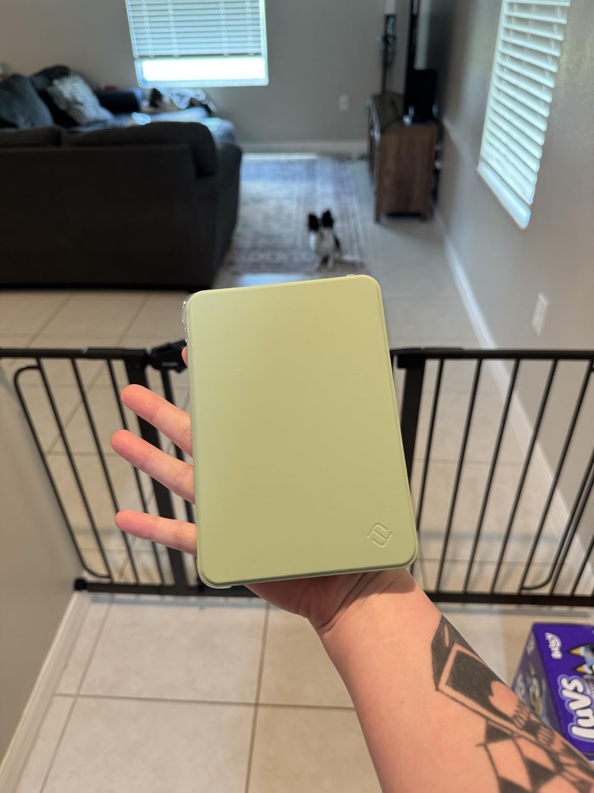 Fintie Slim TPU Case for 6