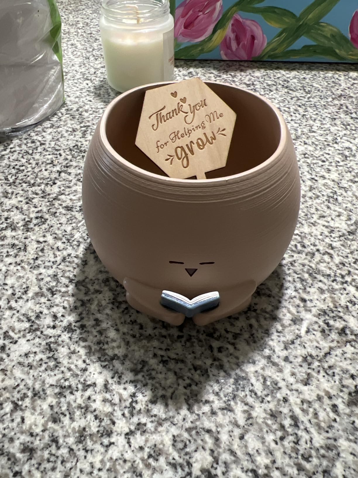 Bookworm Planter Pot - Cute Plant Pots for Succulents with Thank You Sign & Card, Small Reading Planter for Indoor Outdoor Decor, Succulent Gifts for Book Lovers customer photo 1