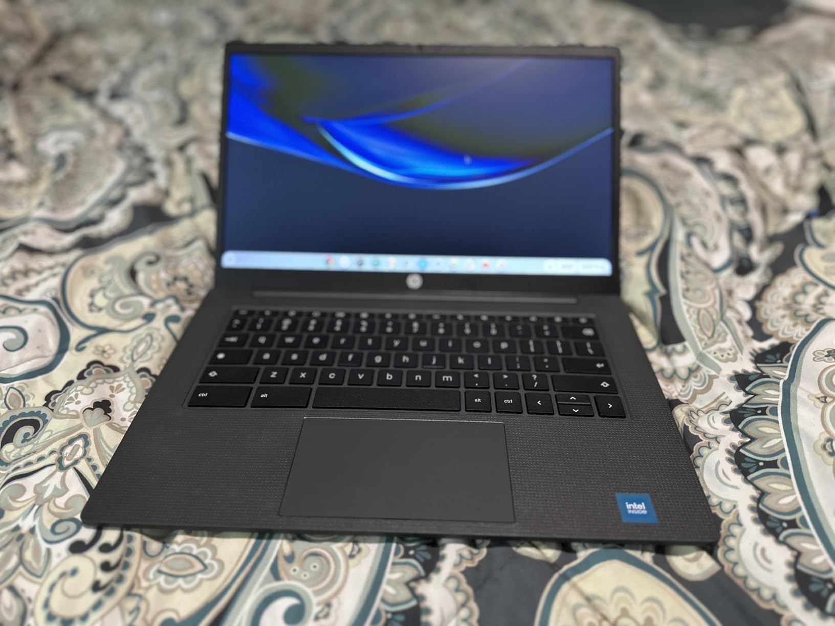 HP Chromebook 14 inch Laptop, HD Display, Intel Processor N100, 8 GB RAM, 128 GB UFS, UHD Graphics, Chrome OS, Chalkboard Gray, 14a-nf0099nr customer photo 1