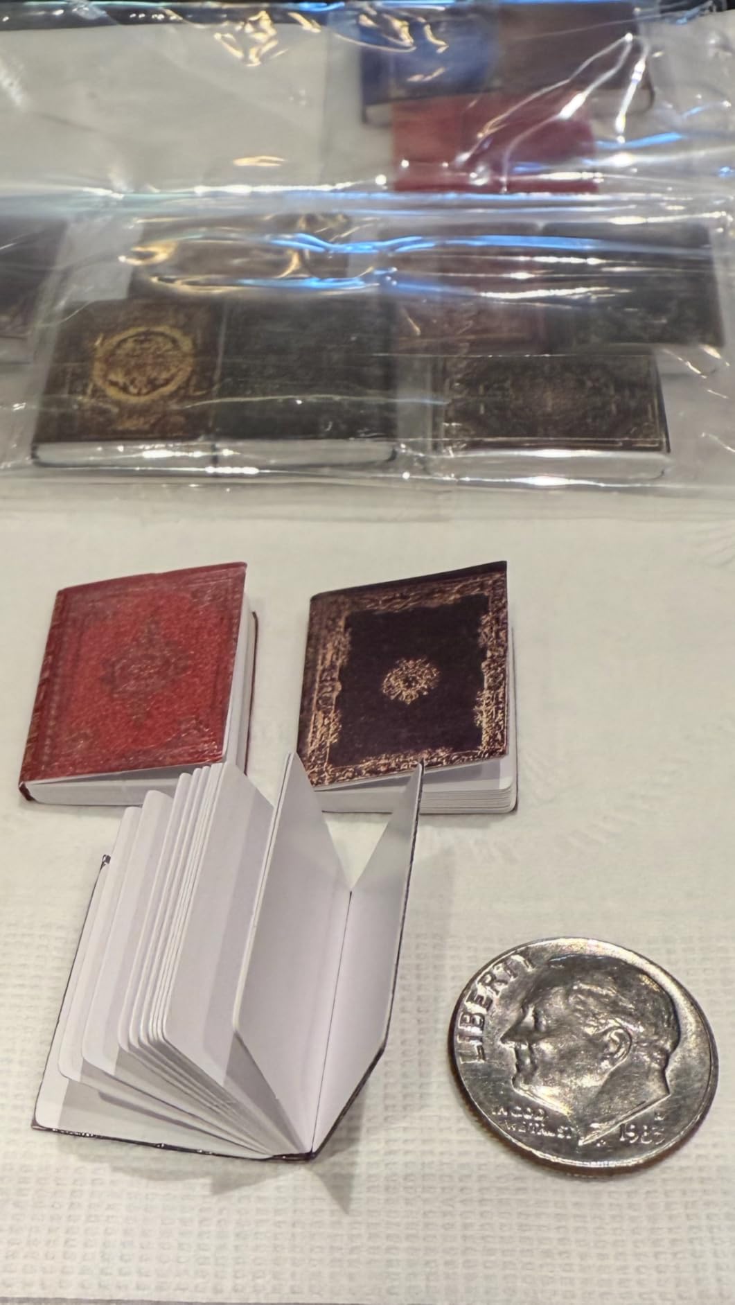 DERAYEE 24PCS Miniatures Dollhouse Books, Assorted Timeless 1:12 Scale Blank Mini Books for Halloween Party Favors Supplies Home Dollhouse Accessories Decorations customer photo 1