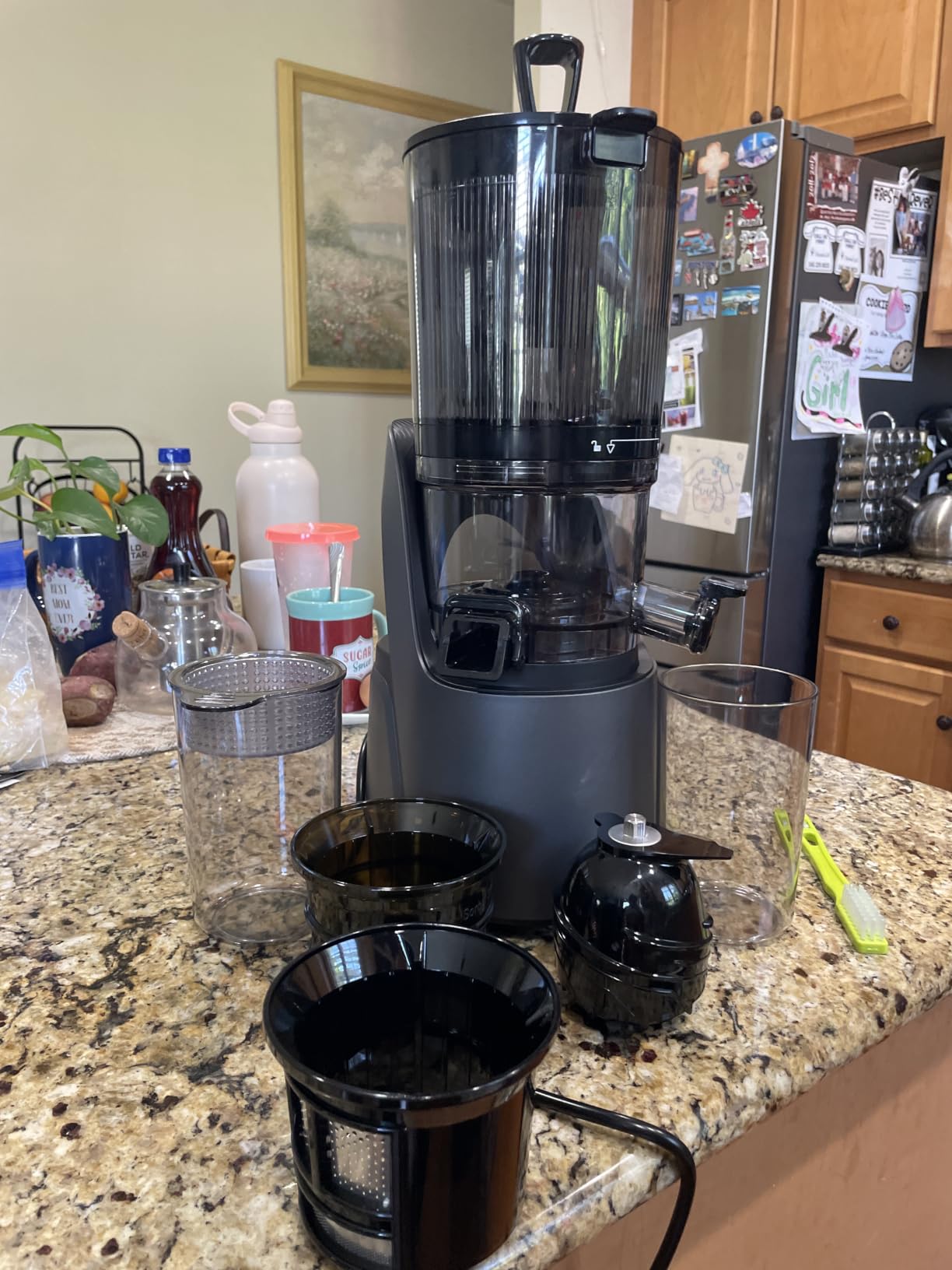 Canoly 3-in-1 Cold Press Juicer C16, Makes Juice & Sorbet & Nut Milk customer photo 2