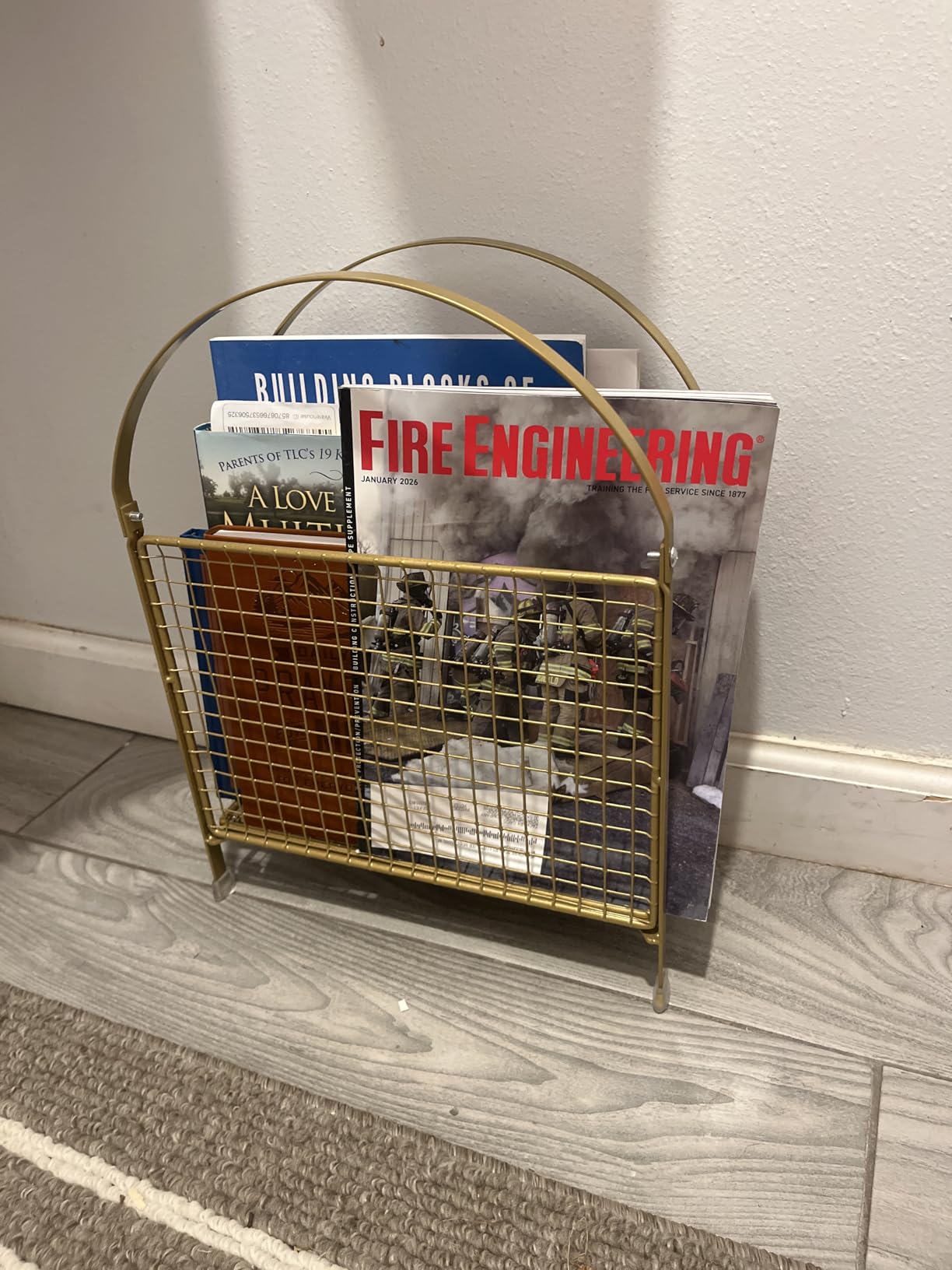 Freestanding Magazine Holder, Metal Magazine Rack Floor Stand | Modern Touch Handbag Design, for Magazine, Newspaper, Books, Vinyl Record (Gold) customer photo 1