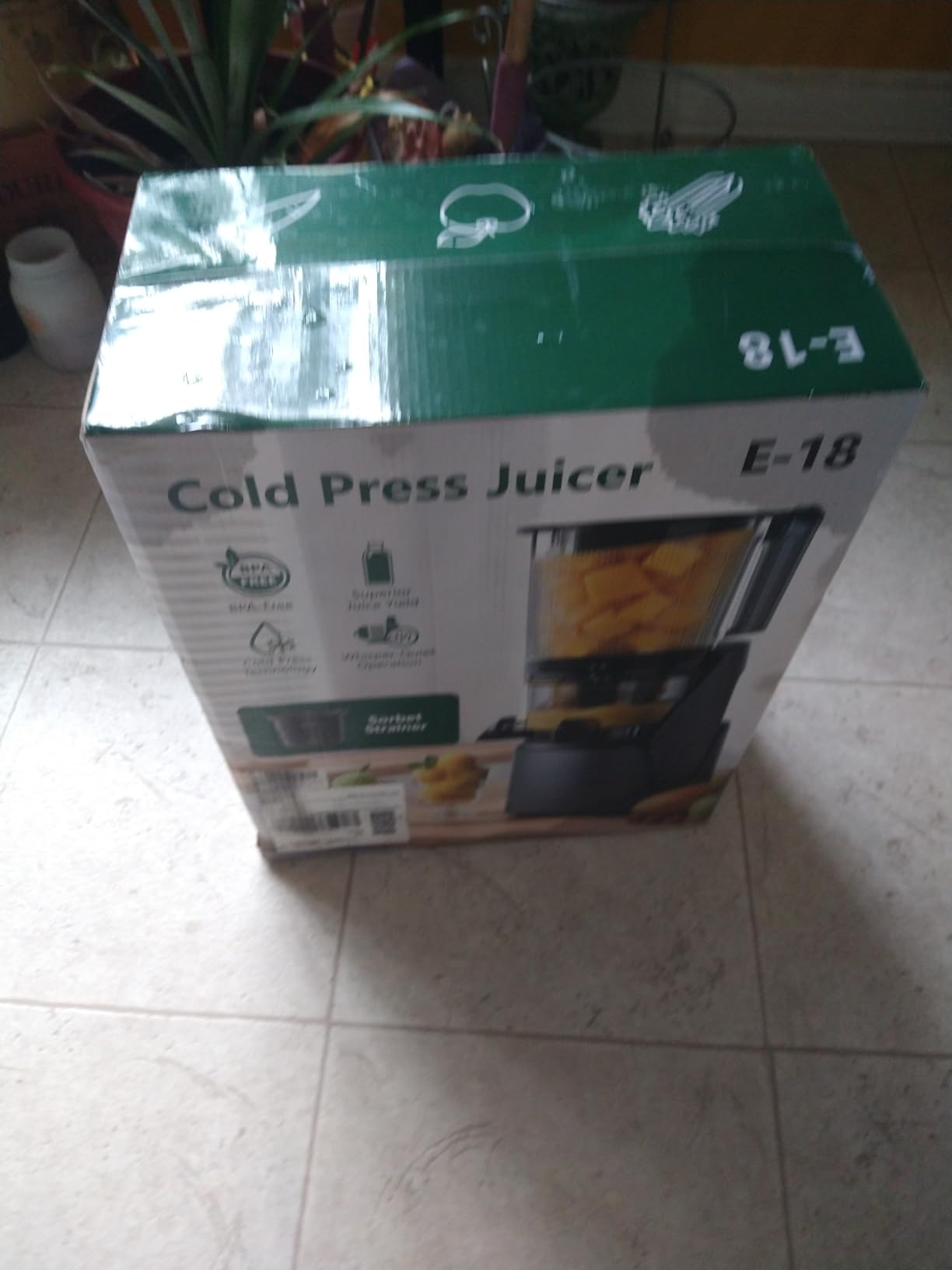 EanOruus Juicer Machines, 3-in-1 Cold Press Juicer, Premium Gray customer photo 1