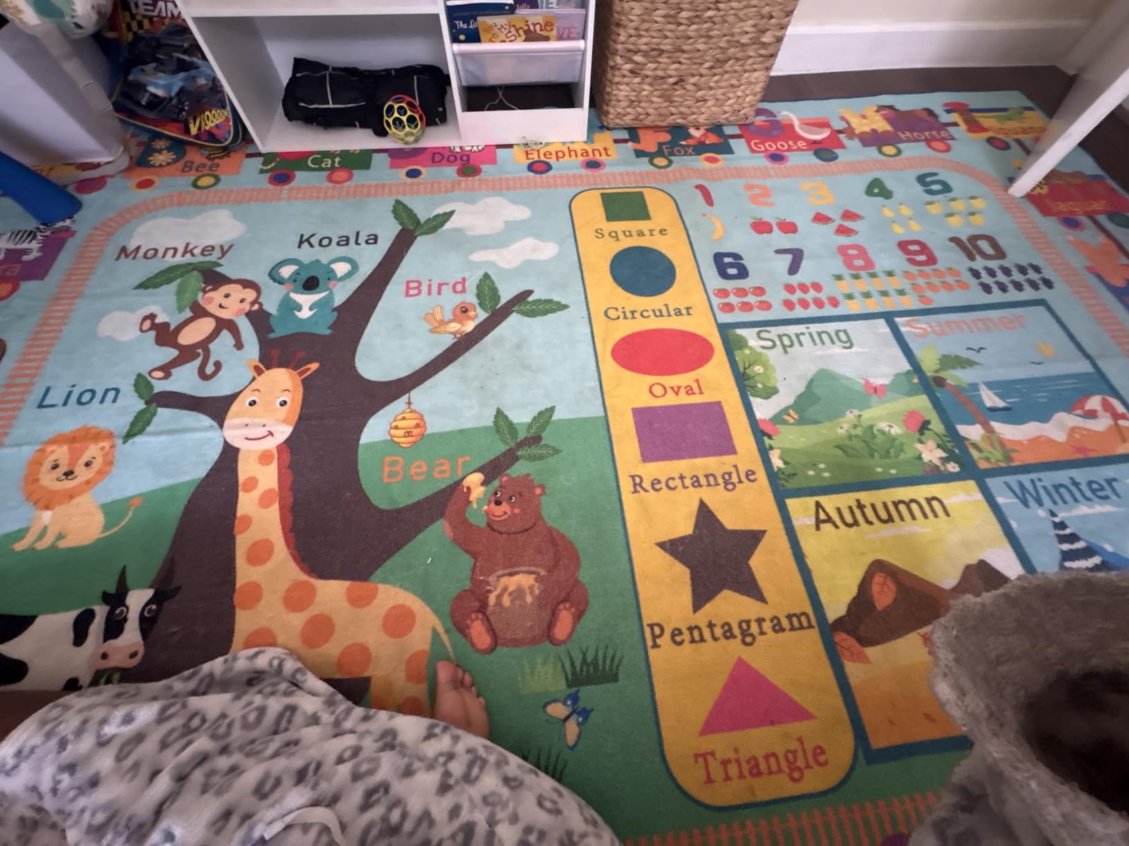 Maxsoft Kids Rug for Playroom Educational 5x7 Play Mat for Classroom | Washable Playmat for Learning ABC Alphabet Animal Season Shapes Numbers Daycare Rug for Kids Room Nursery Children customer photo 1