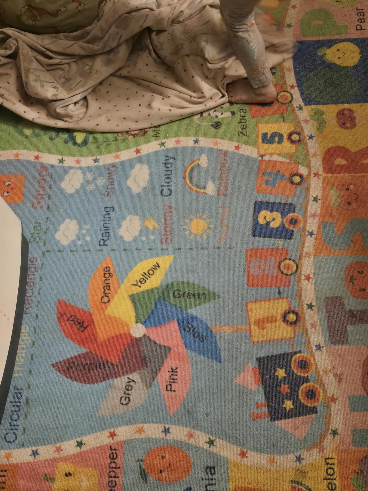 Maxsoft Kids Rug for Playroom Educational 5x7 Play Mat for Classroom | Washable Playmat for Learning ABC Alphabet Animal Season Shapes Numbers Daycare Rug for Kids Room Nursery Children customer photo 2