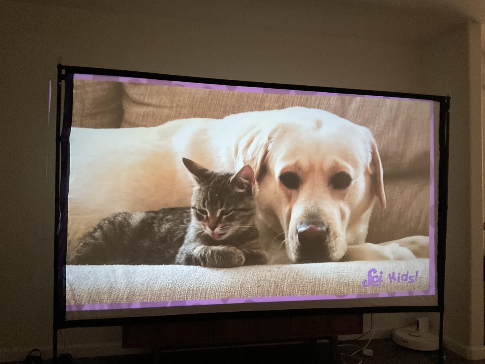 120 inch Outdoor Projection Screen with Stand, Smart RGB+IC Strip Light, 4K 16:9 Wrinkle Wind Resistant Movie Screen, Foldable Portable Projector Screen for Backyard Camping Home Theater customer photo 2