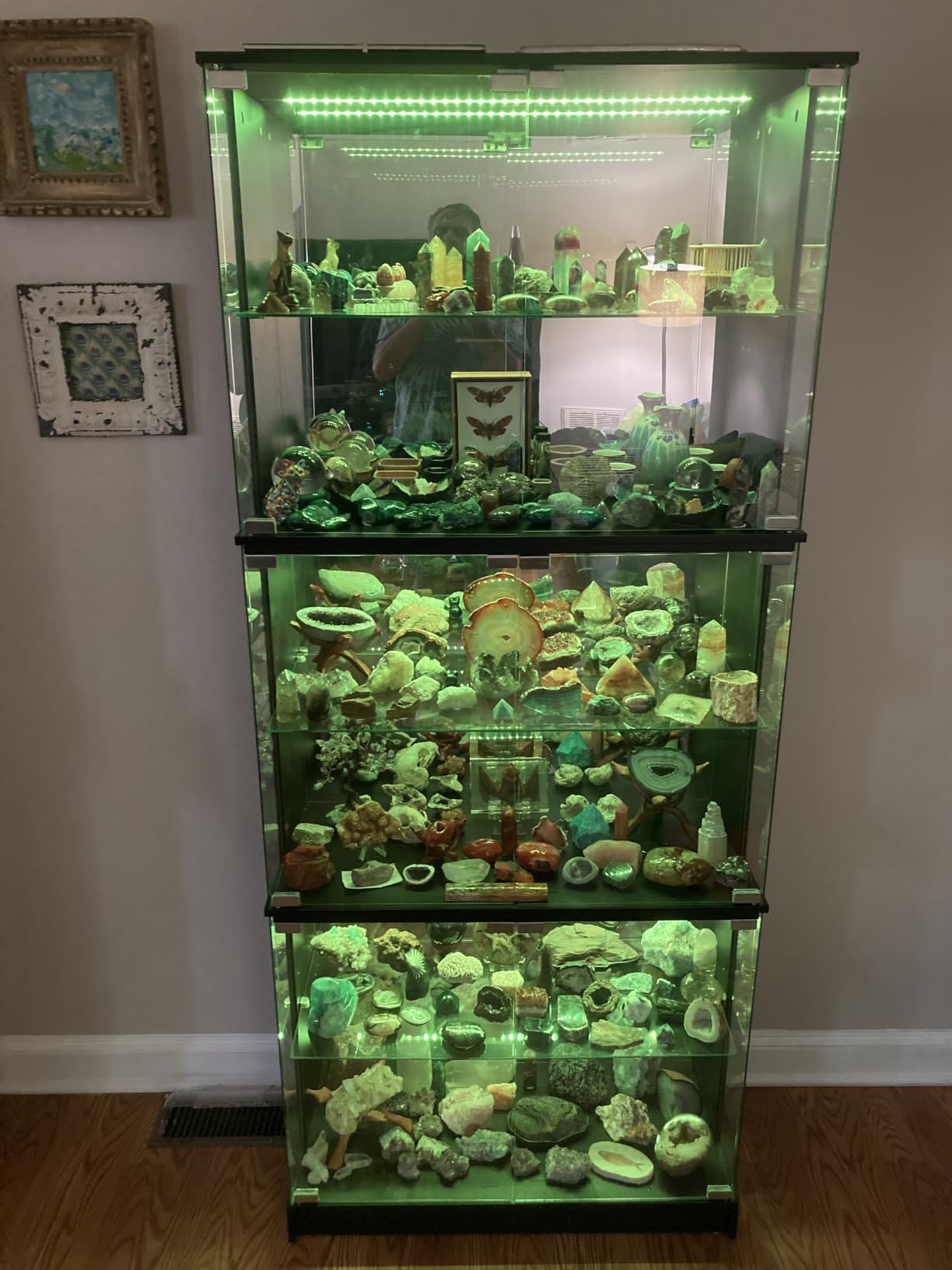 VersionTECH. Display Cabinet with Glass Doors, 6-Tier 71'' Tall Curio Cabinet with RGB Lights for Collectibles, Display Case with Adjustable Glass Shelves, Human Body Sensor, Mirror Backing, Black customer photo 1