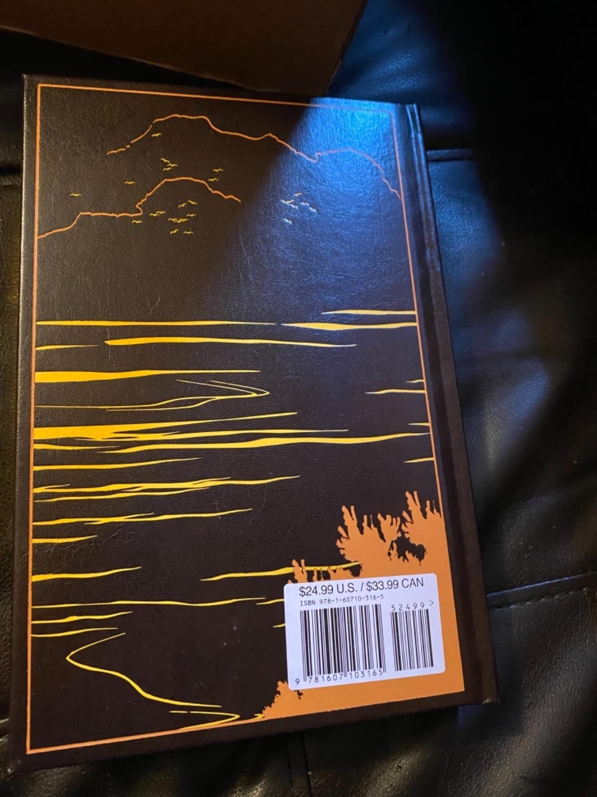 Robert Louis Stevenson: Seven Novels (Leather-bound Classics) customer photo 1