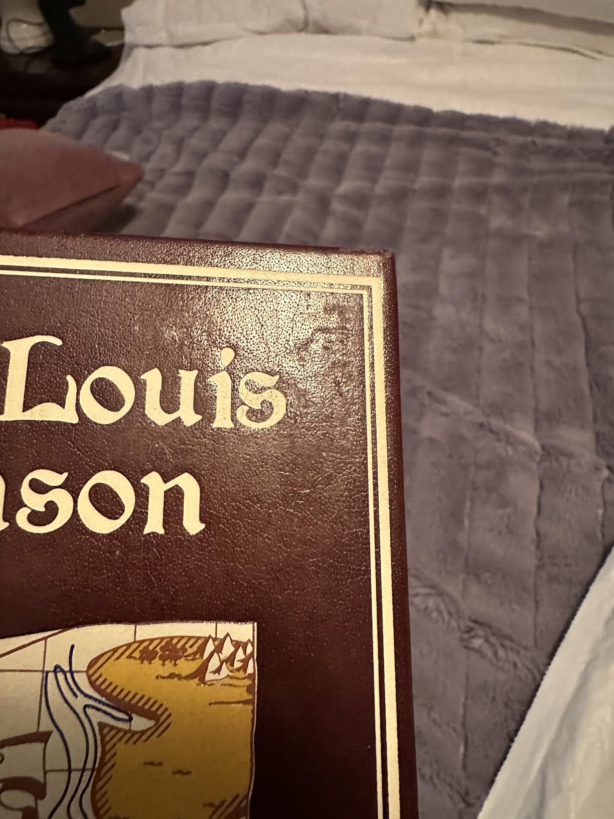 Robert Louis Stevenson: Seven Novels (Leather-bound Classics) customer photo 2