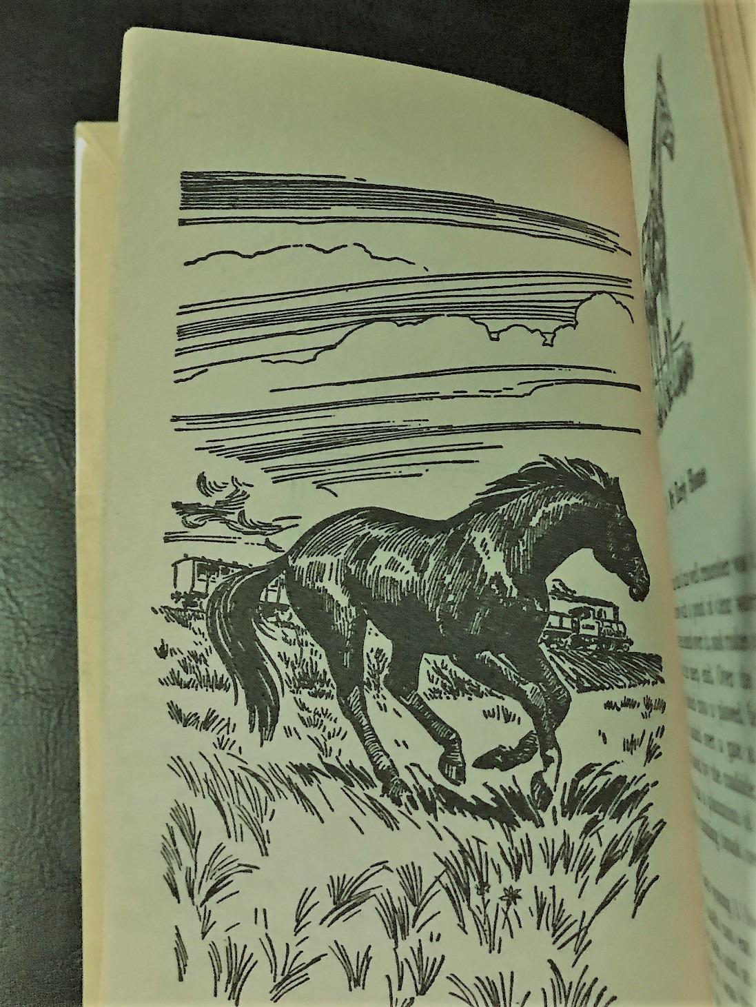 Black Beauty (Wordsworth Collector's Editions) customer photo 1
