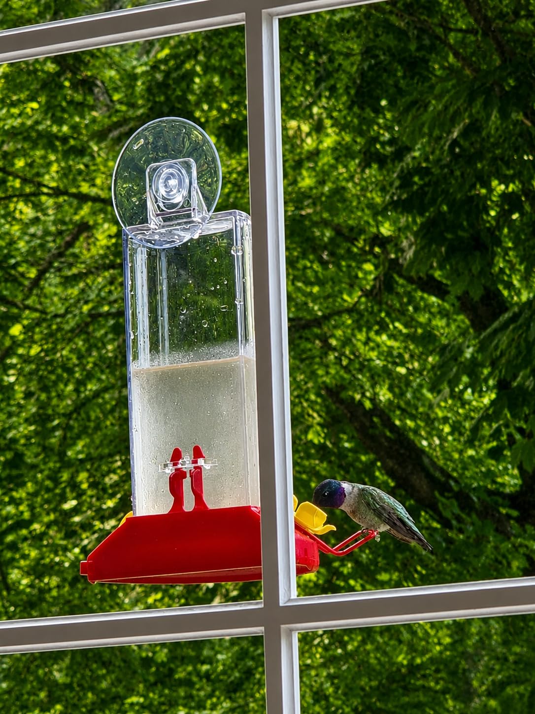 Perky-Pet Window Mount Hummingbird Feeder, 8 oz Nectar Capacity | 3 Bee Guard Ports, Suction Cup & Removable Perches, Plastic Shatter-Resistant Bottle for Outdoor Backyard Bird Watching, 217 customer photo 2