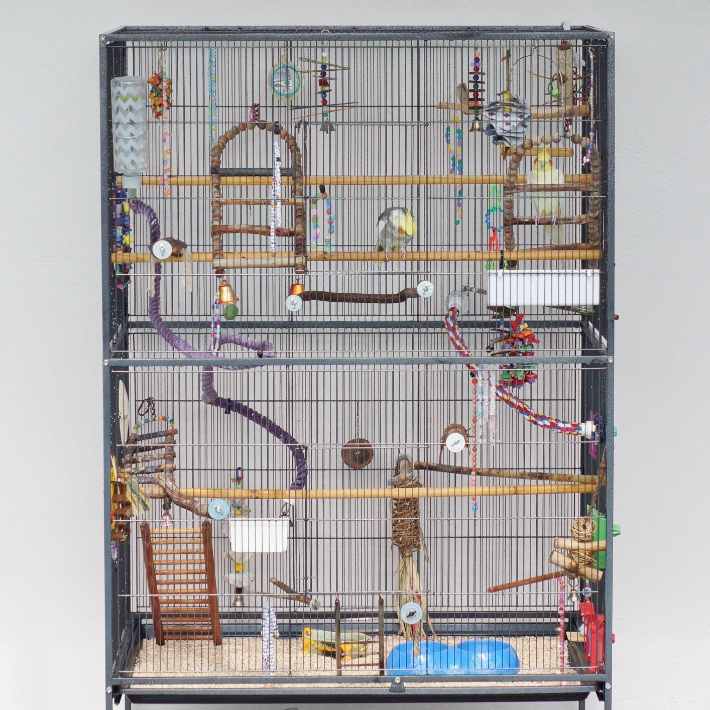 Prevue Hendryx Pet Products Wrought Iron Flight Cage - Big Rolling Bird Cage for Parakeets, Cockatiels, Conures, Lovebirds, Canaries, Finches, Parrotlets, & Caiques, 5 Ft - X-Large, Hammertone Black customer photo 2