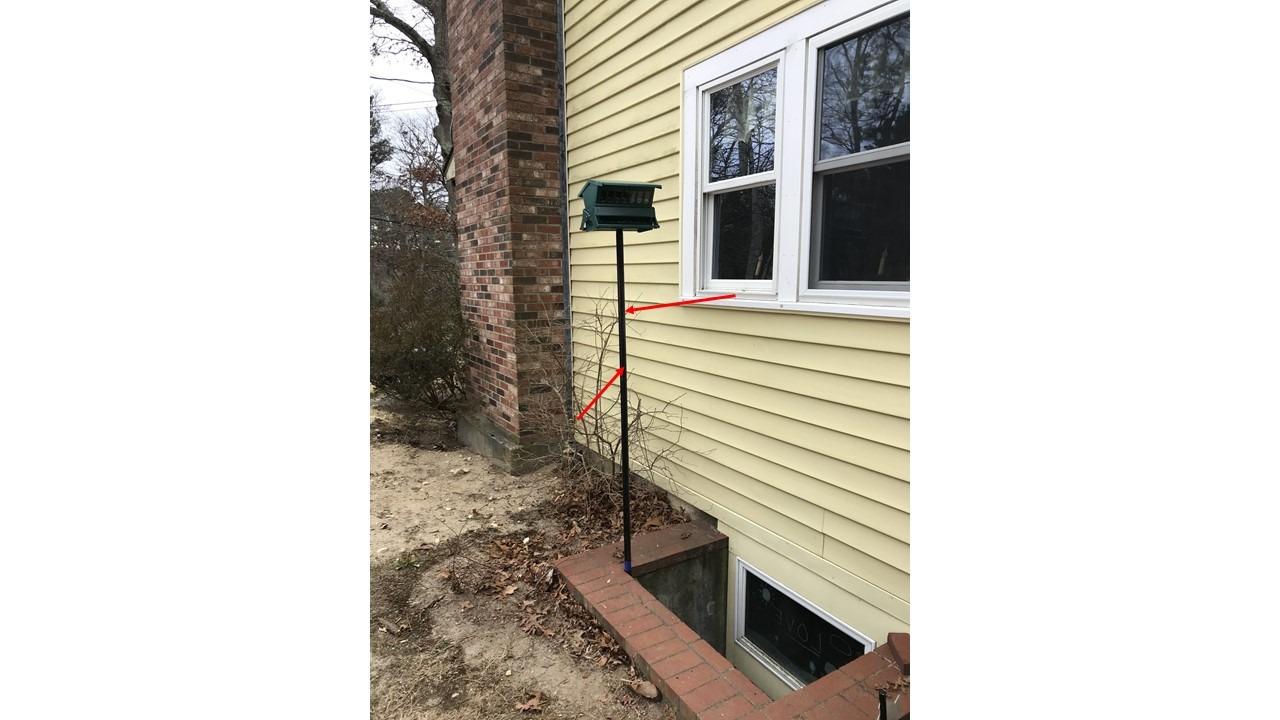 Woodlink Absolute II Squirrel Resistant Bird Feeder Model 7536, 12 lbs, Model:301045 customer photo 2