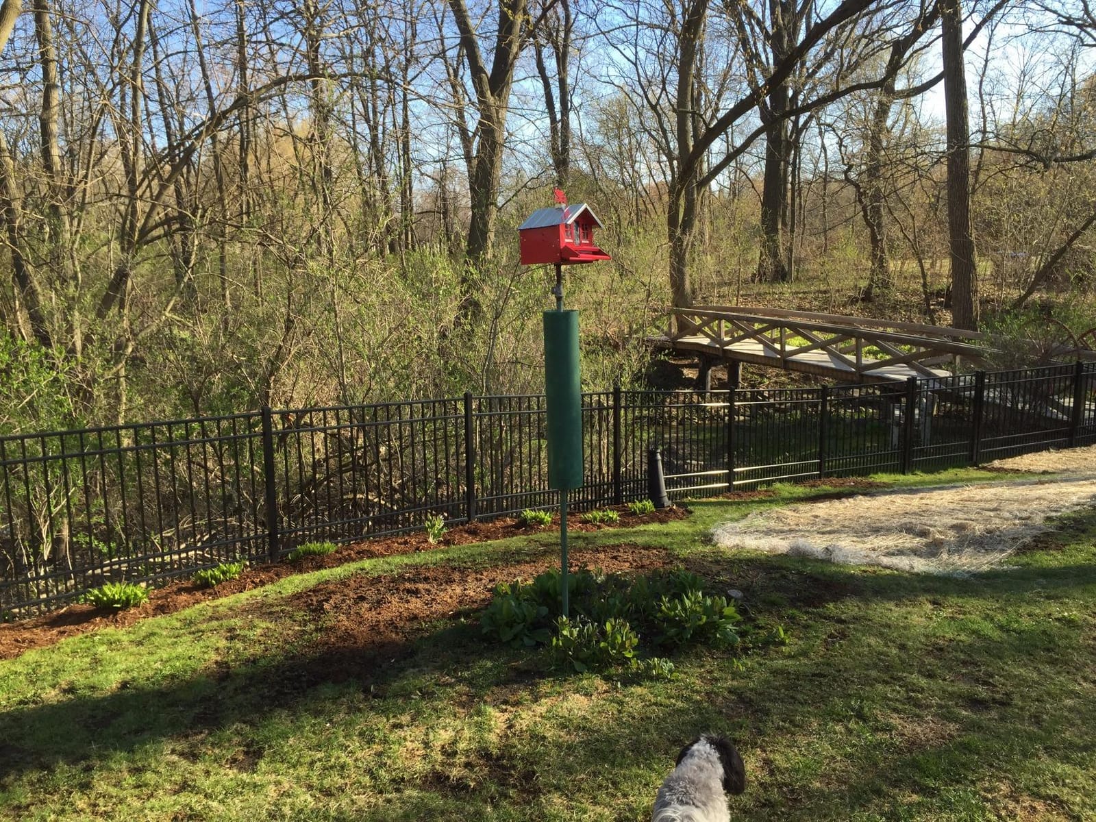 Perky-Pet Squirrel-Be-Gone II Country Style Bird Feeder, 8 lb Seed Capacity customer photo 1