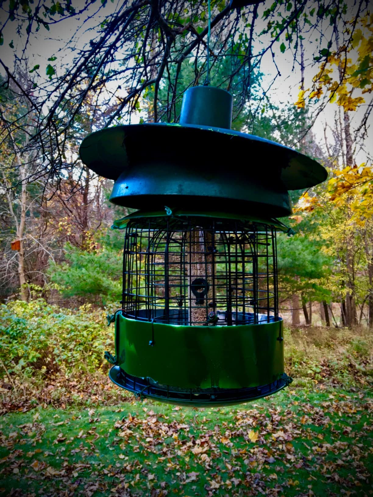 Audubon Squirrel Proof Caged Tube Feeder customer photo 2