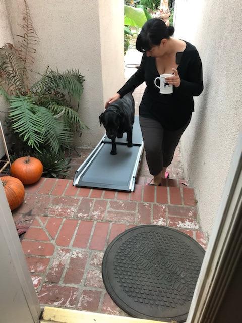 Solvit 62337 Deluxe Telescoping Pet Ramp, Standard (62305) | Extends 39-72 in to Reach Vans & SUVs, High-Traction Surface, Side Rails, Folds with Safety Latch, Supports Dogs up to 400 Lb customer photo 1