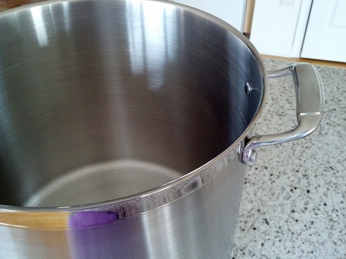 Tramontina Gourmet Stainless Steel 12-Quart Stock Pot with Lid customer photo 2