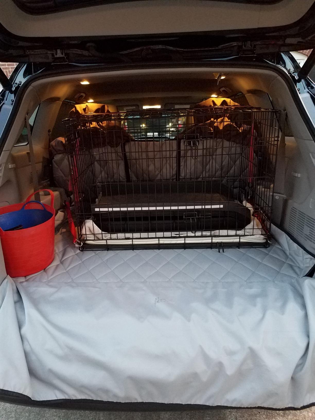 PetSafe Happy Ride Folding Dog Ramp | Extends 62 in, Lightweight Ramp Folds for Storage, High-Traction Surface, Side Rails & Rubber Feet, Supports up to 150 Lb customer photo 1