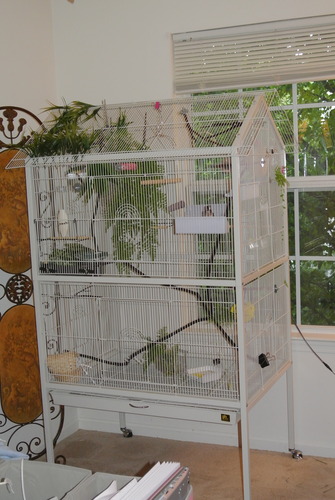 Prevue Pet Products Wrought Iron Flight Cage with Stand, Large Birdcage for Pets, Metal Cage Standing Birdcage, Black Hammertone Finish customer photo 2