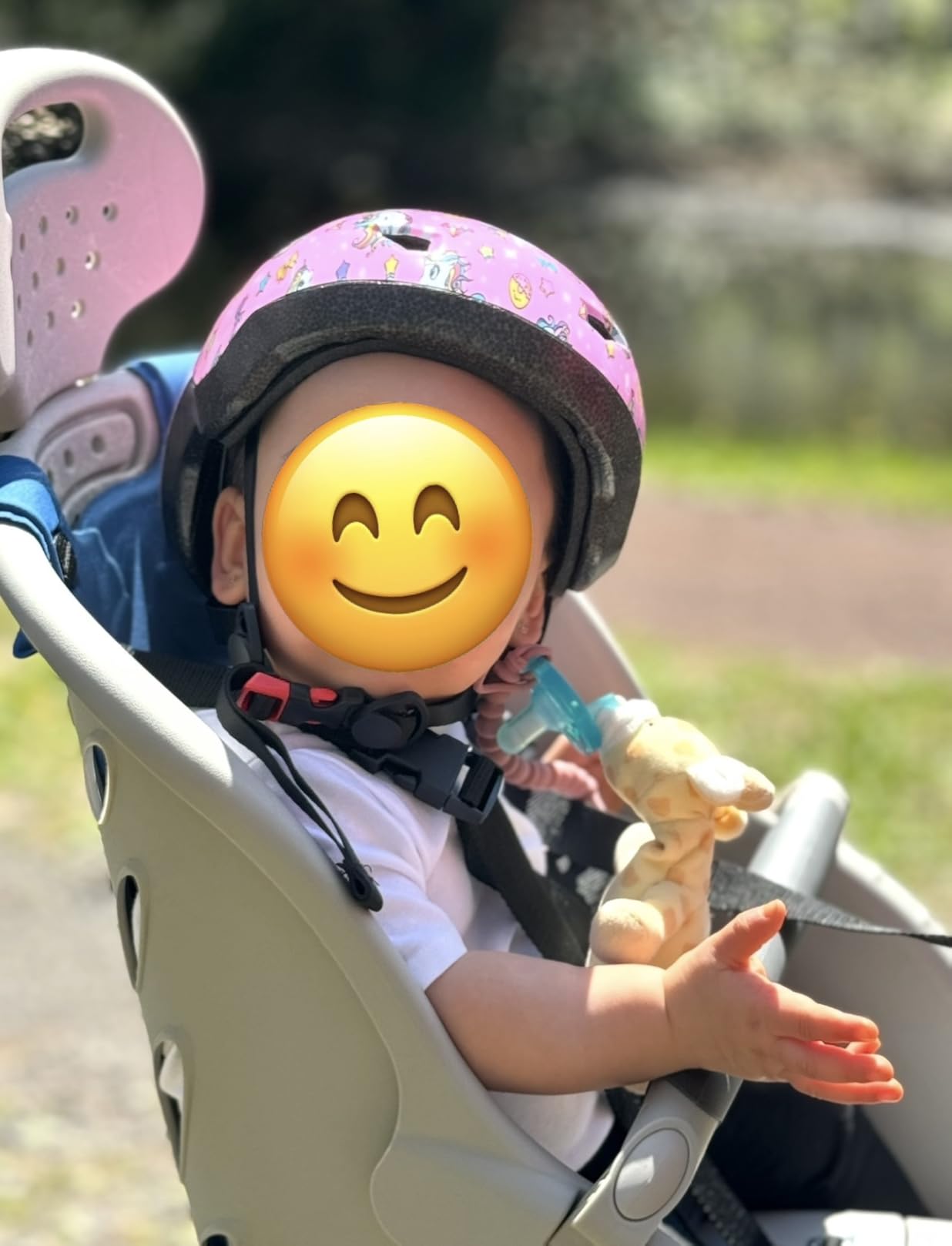 Schwinn Deluxe Child Bike Carrier, Seats one Kid Ages 1+, Frame Mount, Adjustable Safety Harness, Quick Release Design, Comfortable Padding, Rear-Mounted Child Bike Seat for Toddler customer photo 1