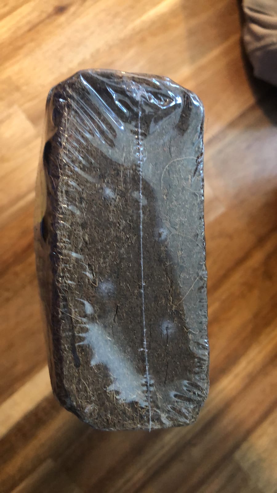 Exo Terra Plantation Soil, 8 Qt (8.8 L) customer photo 2