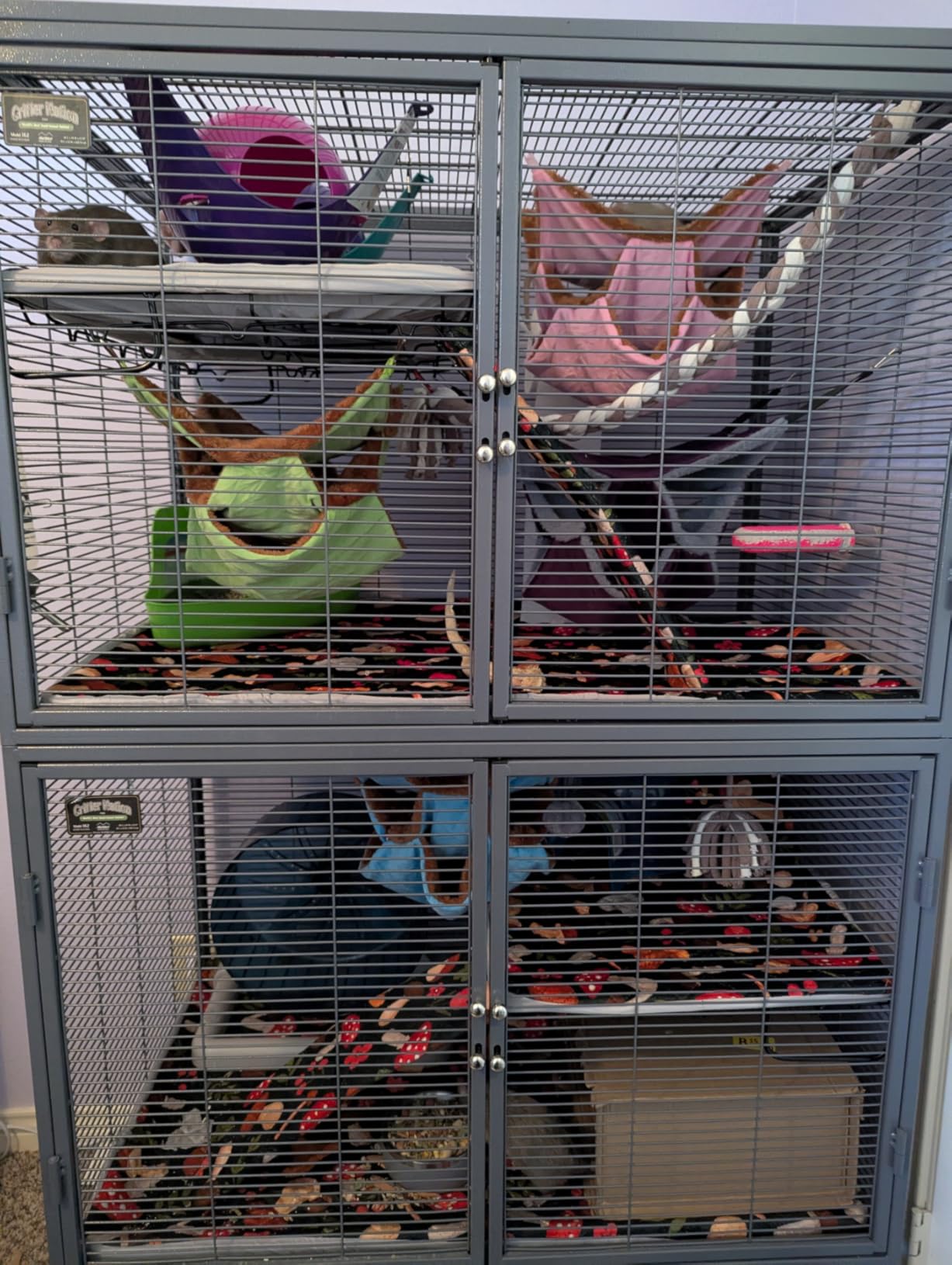 Critter Nation by MidWest Double Unit Small Animal Cage customer photo 1