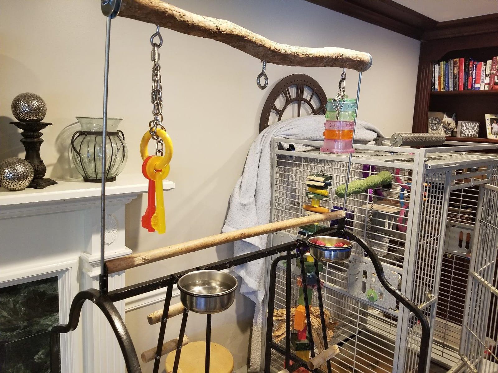 Prevue Pet Products Small Parrot Playstand with Wheels, Bird Stand Activity Play Center with Perches and Ladders, Indoor Outdoor Playground for Birds with Swing, Black Hammertone Finish customer photo 1