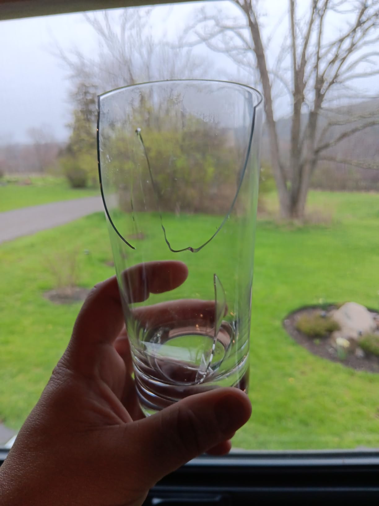 ZWIESEL GLAS Paris Long Drink Glass 11 Ounce (Set of 6), Drinking Glasses for Long Drinks, Dishwasher-Safe Tritan Crystal Glasses, Made in Germany customer photo 1