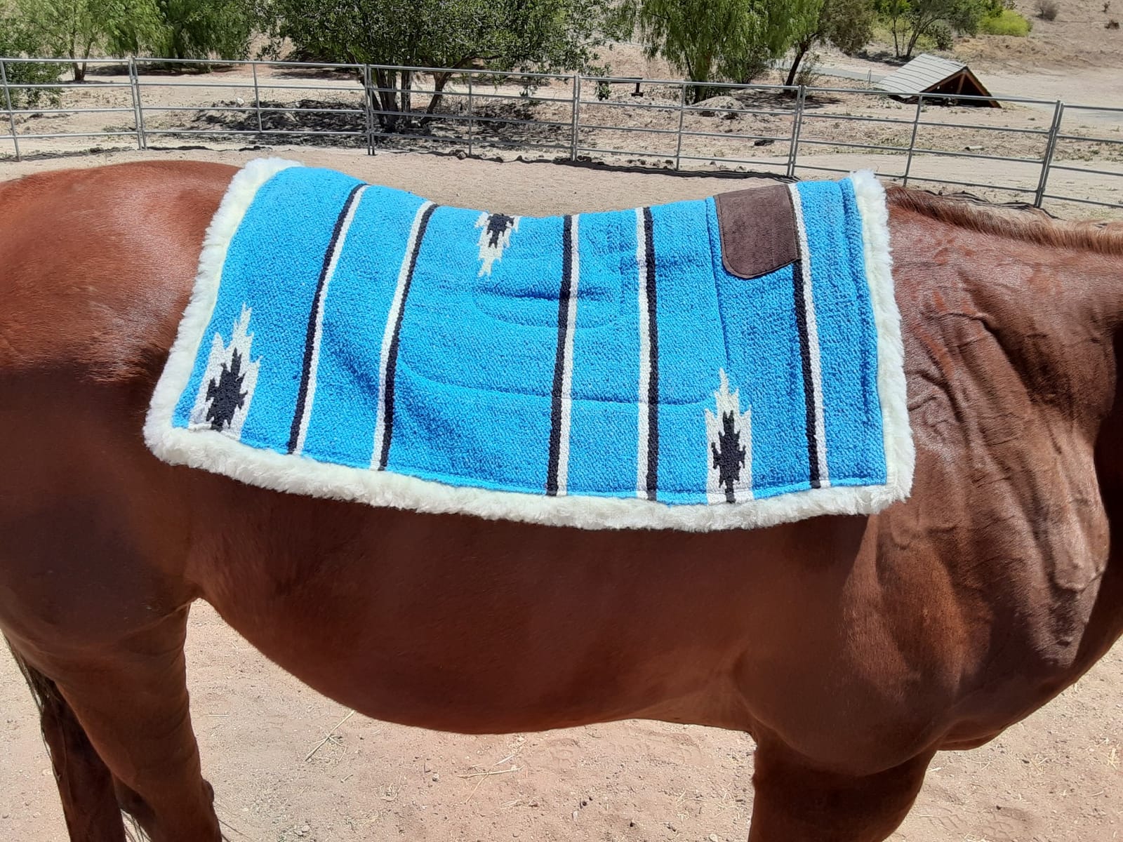 Tough 1 Tough-1 Square Saddle Pad/Fleece Bottom customer photo 1