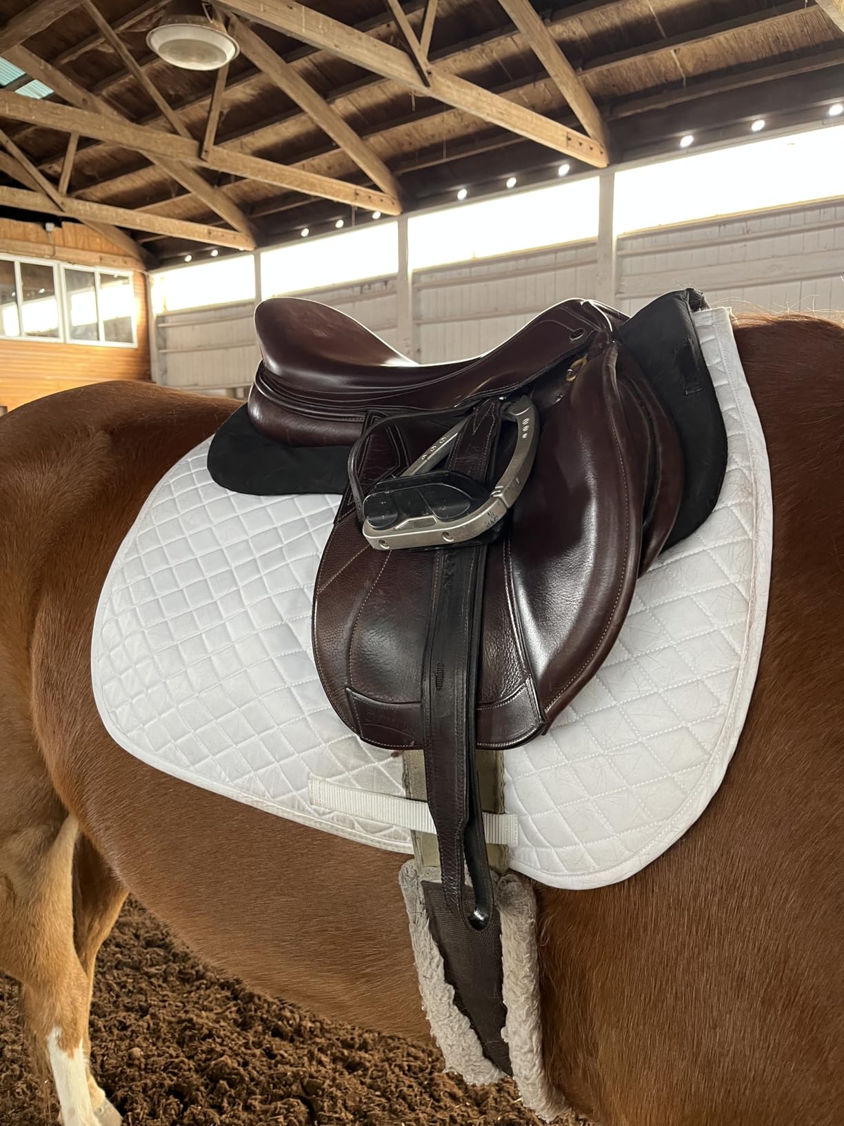 TuffRider Basic All Purpose Horse Riding Saddle Pad customer photo 2