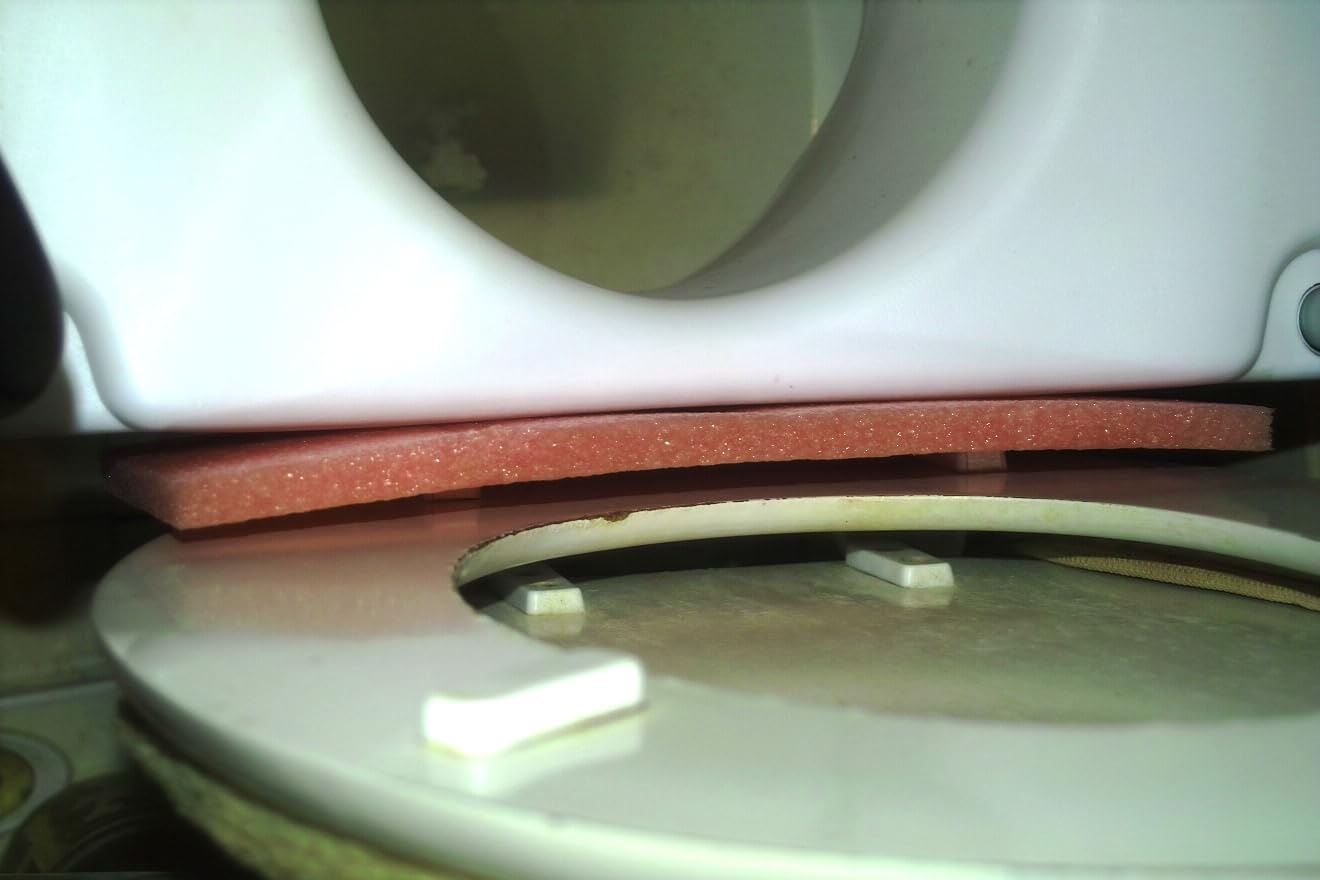 Drive Medical 2-in-1 Raised Toilet Seat with Removable Padded Arms customer photo 1