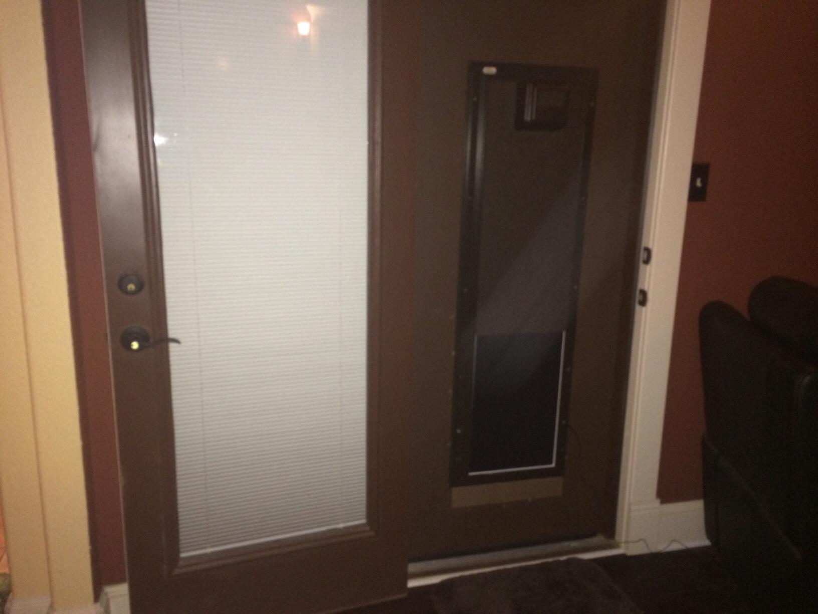 PlexiDor Electronic Wall-Mount Pet Door, Bronze, Large, Up to 100 lbs customer photo 2