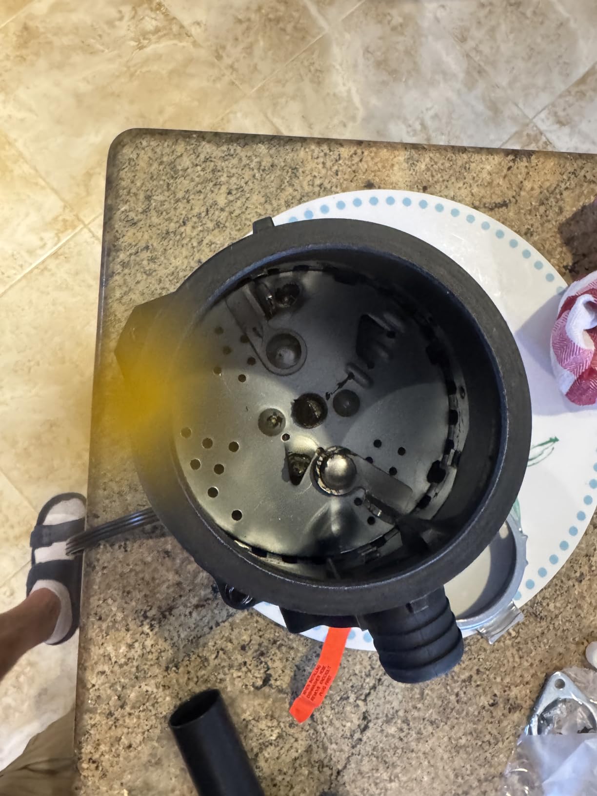 GE Disposall Continuous Feed 1/2 Horsepower Motor Garbage Disposer, Good for Grinding: Cooked Meat, Beans, & Seeds, Easy Install Kit and Power Cord Included, Recommended for 2-4 Person Homes, GFC525N customer photo 2