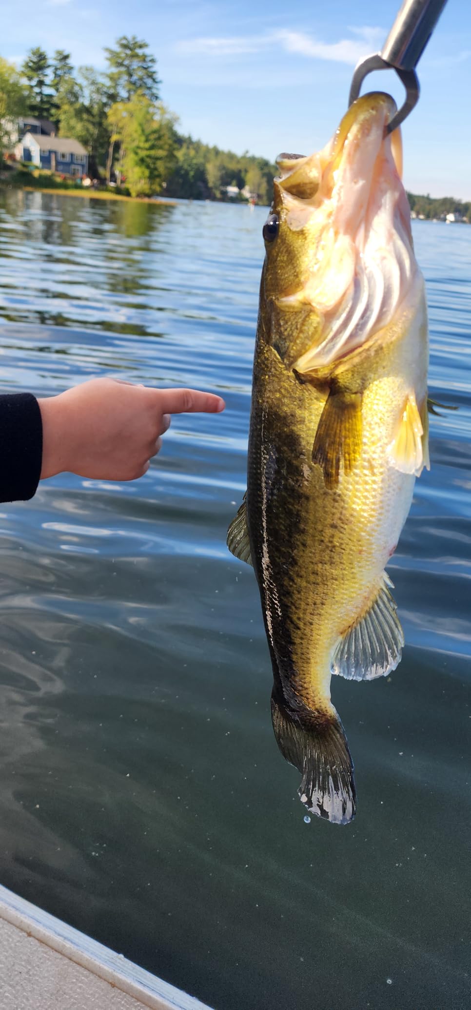 BOOYAH Pond Magic Small-Water Spinner-Bait Bass Fishing Lure customer photo 2