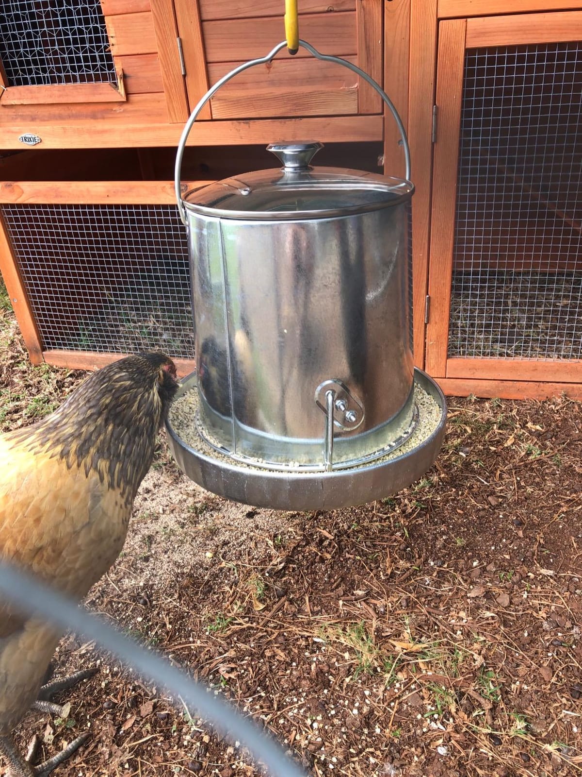 Harris Farms 1000293 Galvanized Hanging Poultry Feeder, 15 lbs, Metal customer photo 1