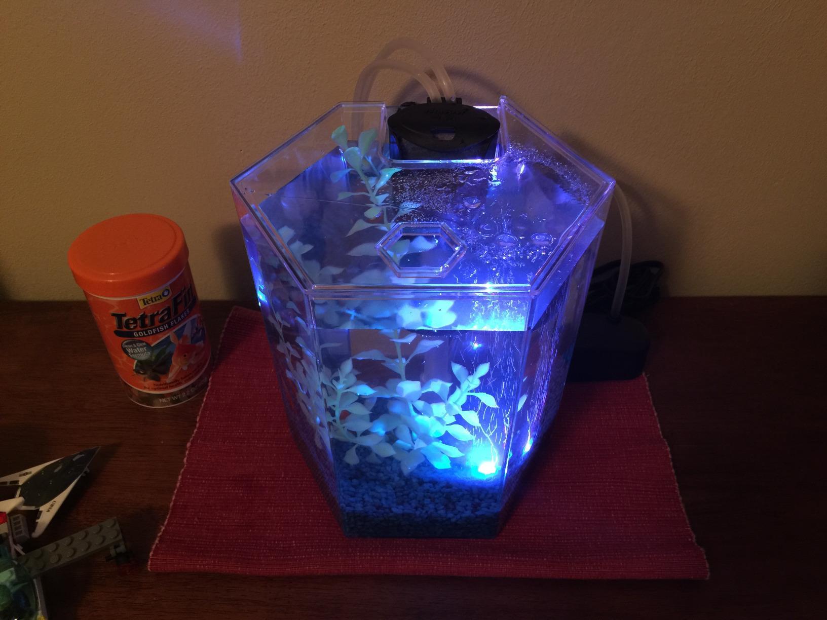 Tetra Starter 1 Gallon Small Fish Tank Kit for Freshwater Fish customer photo 1