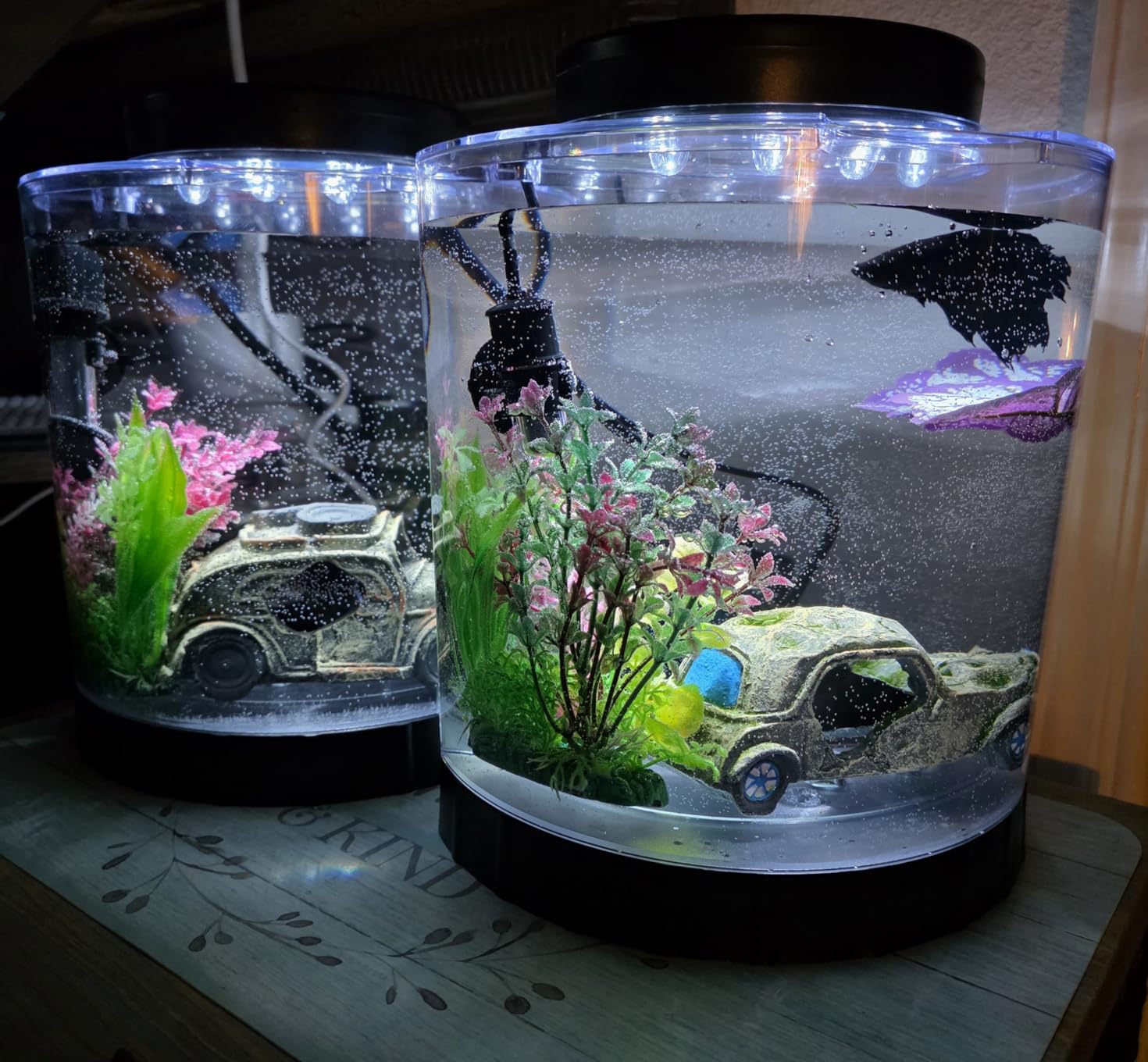 Tetra LED Half Moon 1.1 Gallon Fish Tank Kit for Betta Fish | Aquarium Kit Includes Moveable LED Light and 1.1 Gallon Acrylic Tank With Feeding Hole, Ideal for Beginners customer photo 1