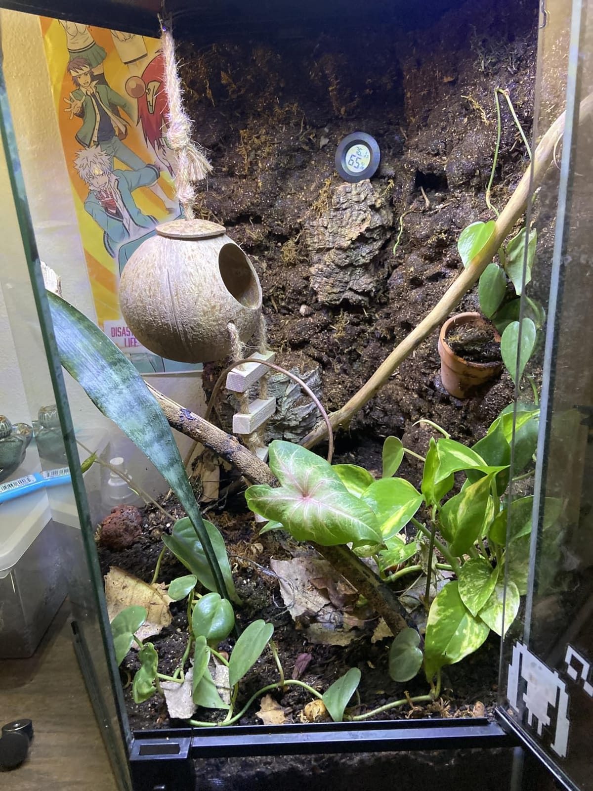 Zilla Jungle Mix Terrarium Substrate Bedding, 8 Quart | Supports healthy humidity, reptile dirt for tropical terrariums, organic blend, soft texture, easy maintenance customer photo 1