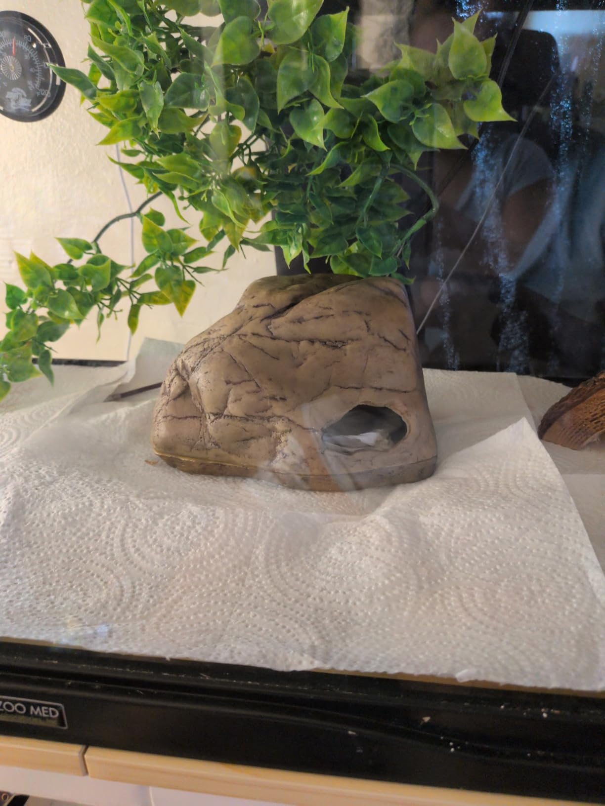 Exo Terra Gecko Cave for Reptiles and Amphibians, Reptile Hideout, Medium customer photo 2