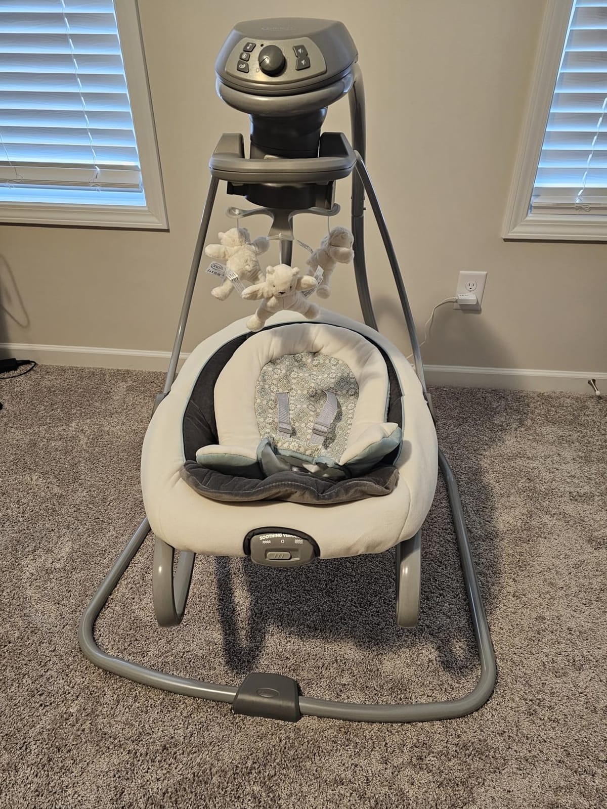 Graco DuetSoothe 2 in 1 Portable Baby Swing & Baby Rocker, Multi Direction, Vibration, Winslet customer photo 1